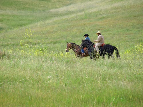 Kostenloses Stock Foto zu außerorts, cowboy-hüte, erholung