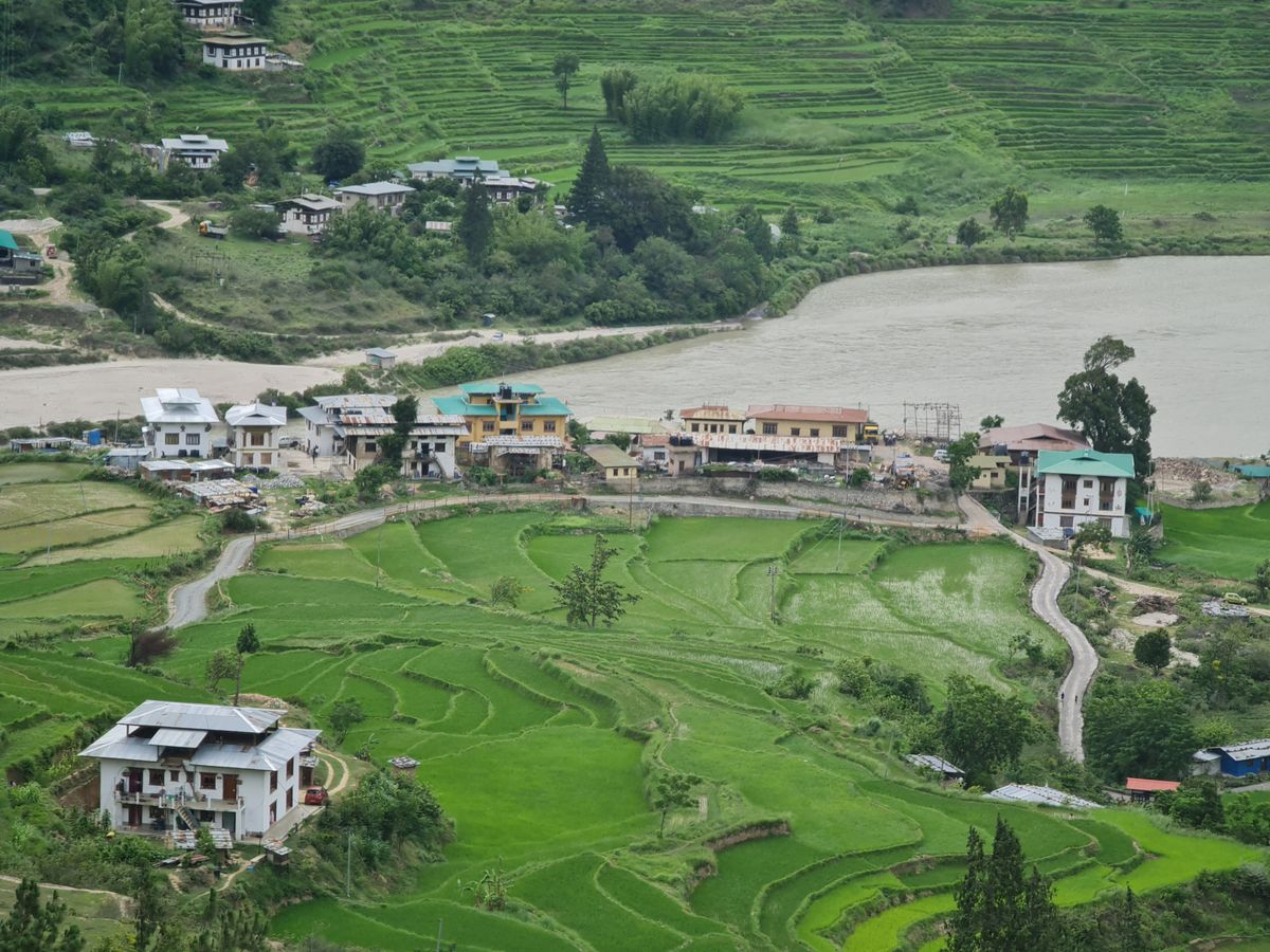 Lush green rice terraces and village alongside a serene river, showcasing rural beauty.