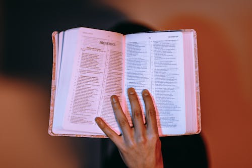 Kostnadsfri bild av bibel, biblia, bok