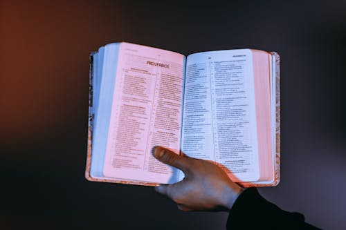 Gratis lagerfoto af Bibel, bog, gamle testamente