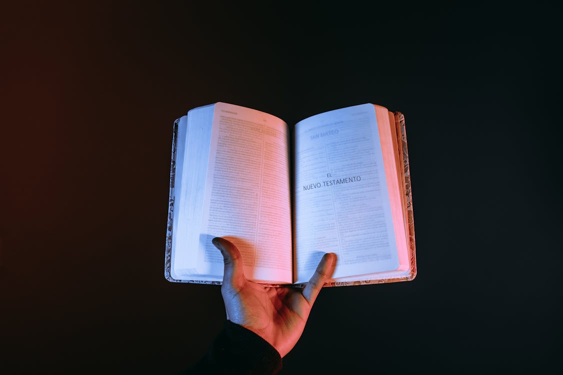 Free Person Holding A Bible Stock Photo