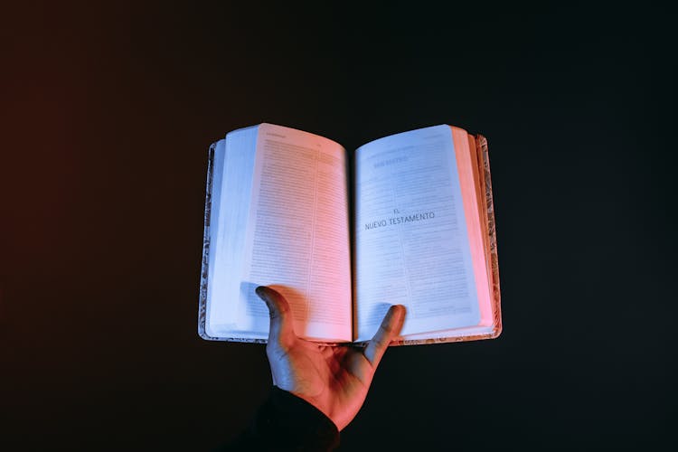 Person Holding A Bible