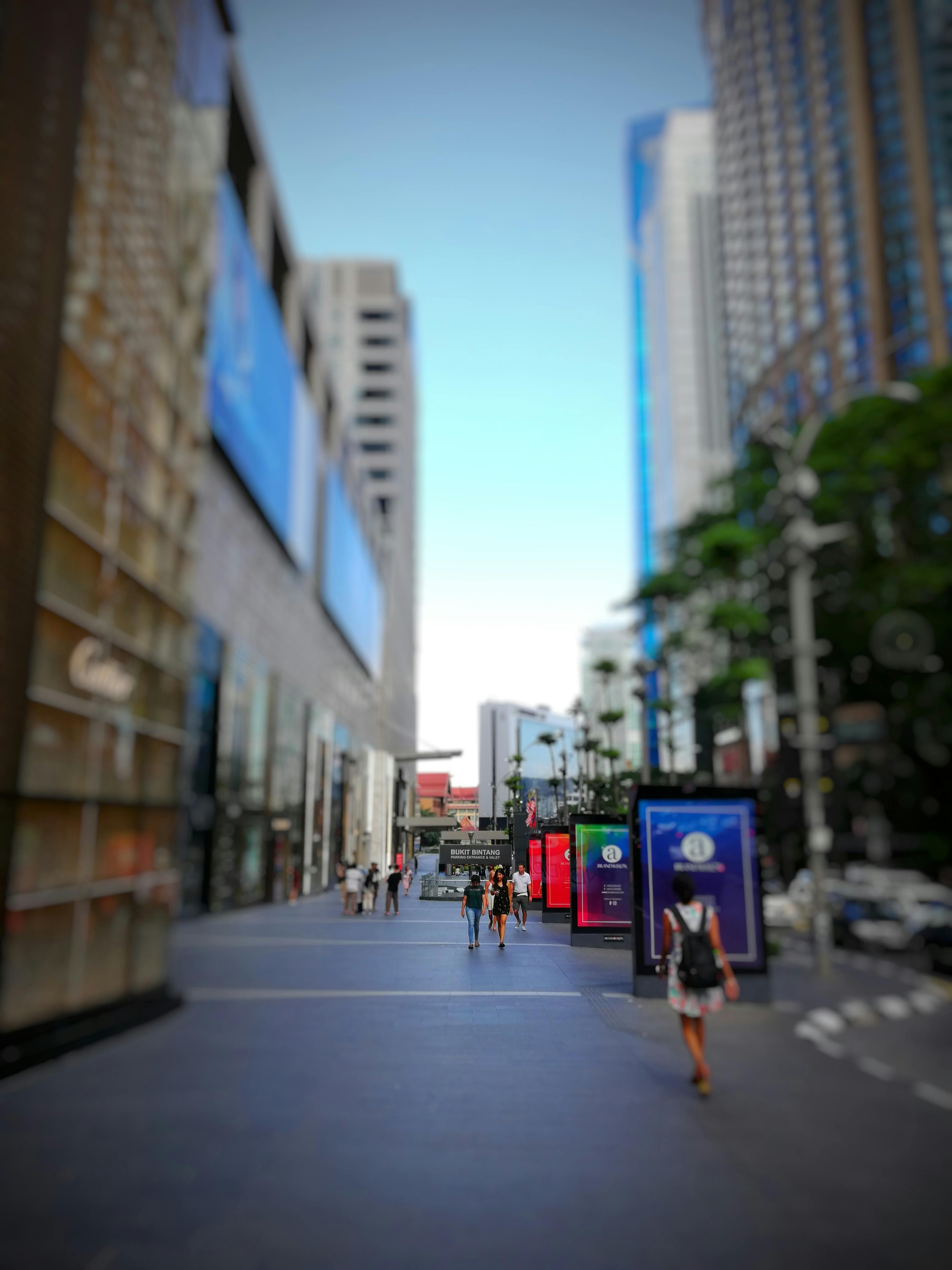 Highlights — Chorus Repeats the Passage