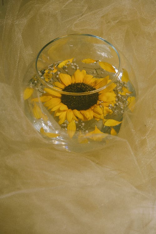 A small vase with a sunflower in it