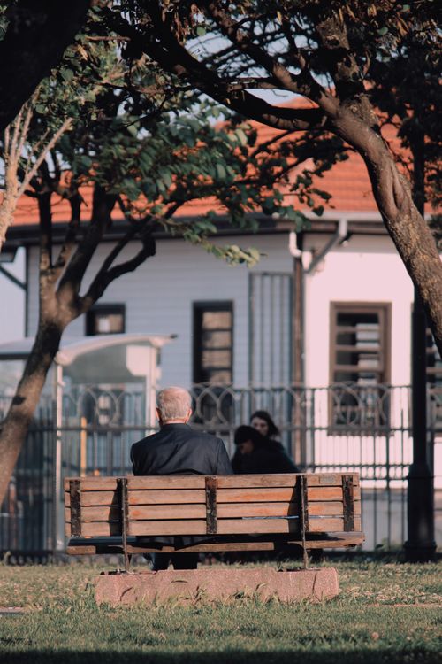 Free Older adults enjoying a relaxing afternoon on a park bench in Istanbul, surrounded by greenery. Stock Photo