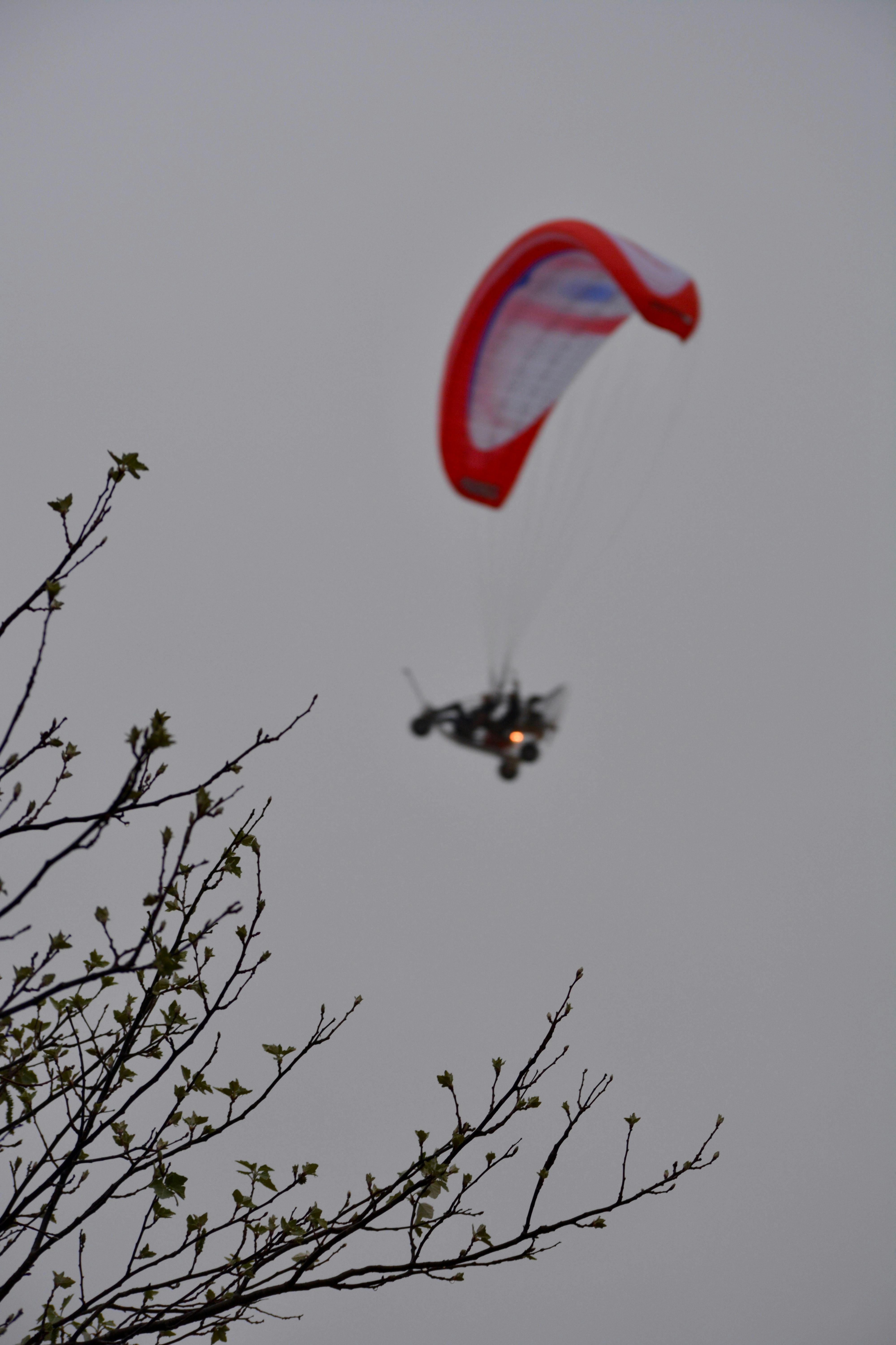 Commercial property landscaping