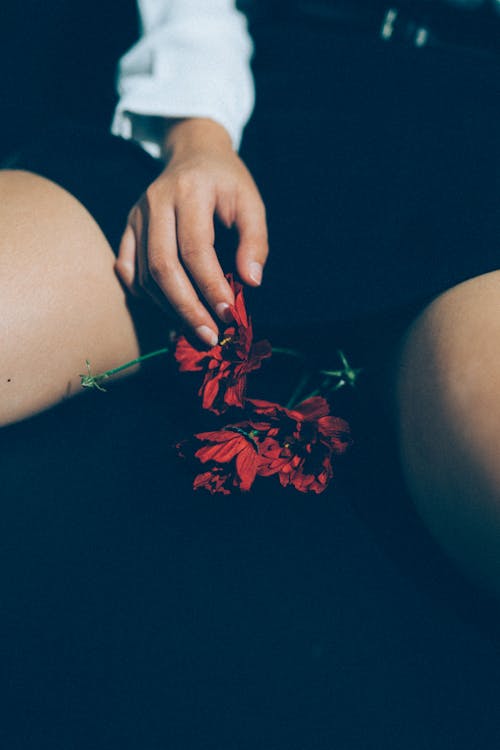 A woman's legs with red flowers in her hands