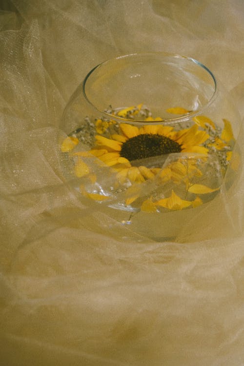 A glass vase with a sunflower in it