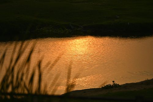 Free GOLDEN LAKE Stock Photo