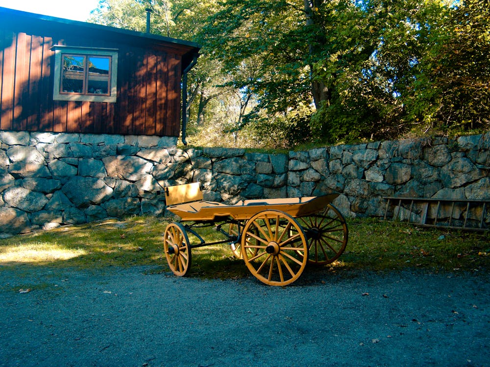 бесплатная Коричневая карета на лужайке с зеленой травой Стоковое фото