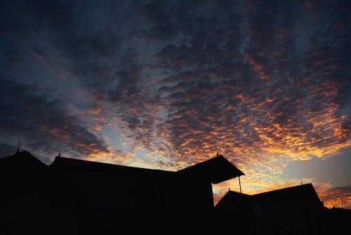剪影, 天空, 日落 的 免费素材图片