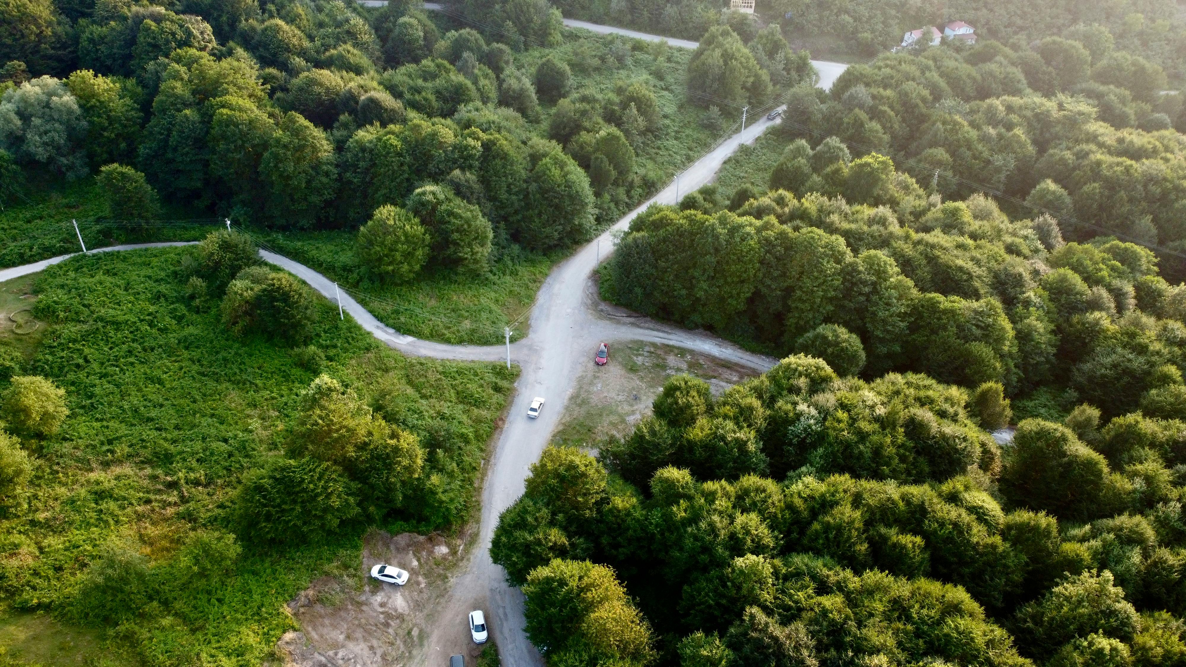 evs explained sustainability — Photo by Kenan Turguç on Pexels