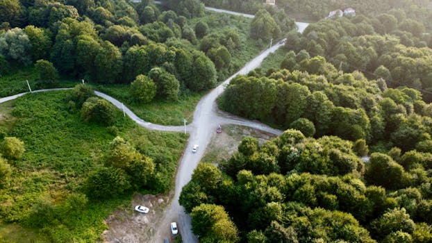 Aerial photo showcasing a winding road through lush green forest in Düzce, Türkiye.