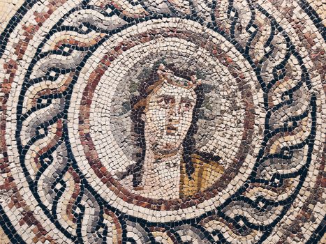 Zeugma Mosaics with archaeologist — Gaziantep