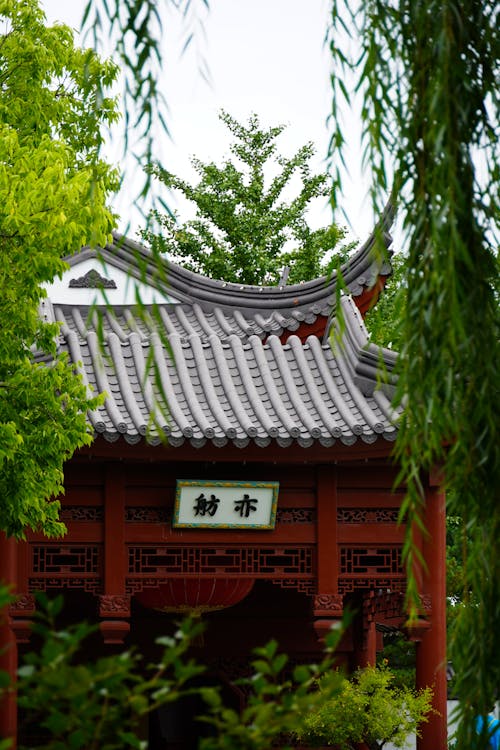 A chinese style roof with a green tree in the background
