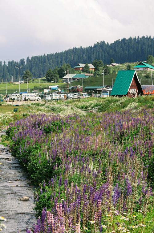 Free A picturesque rural landscape featuring vibrant wildflowers, rustic houses, and serene countryside. Stock Photo