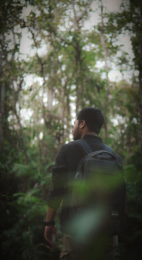 Free A man with a backpack navigates a dense forest, embracing solitude in nature's beauty. Stock Photo