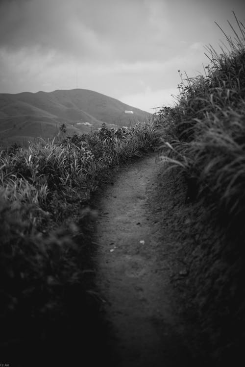A black and white photo of a path leading to a mountain
