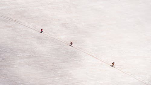 A group of people walking on a snowy field