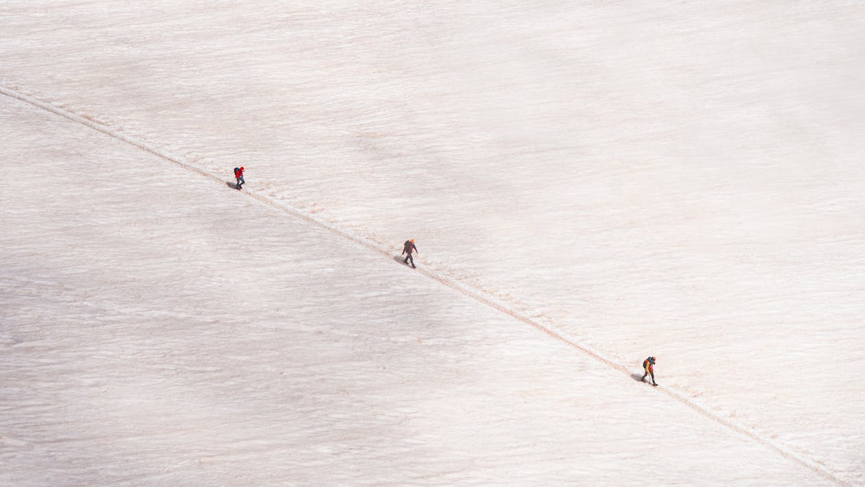 A group of people walking on a snowy field