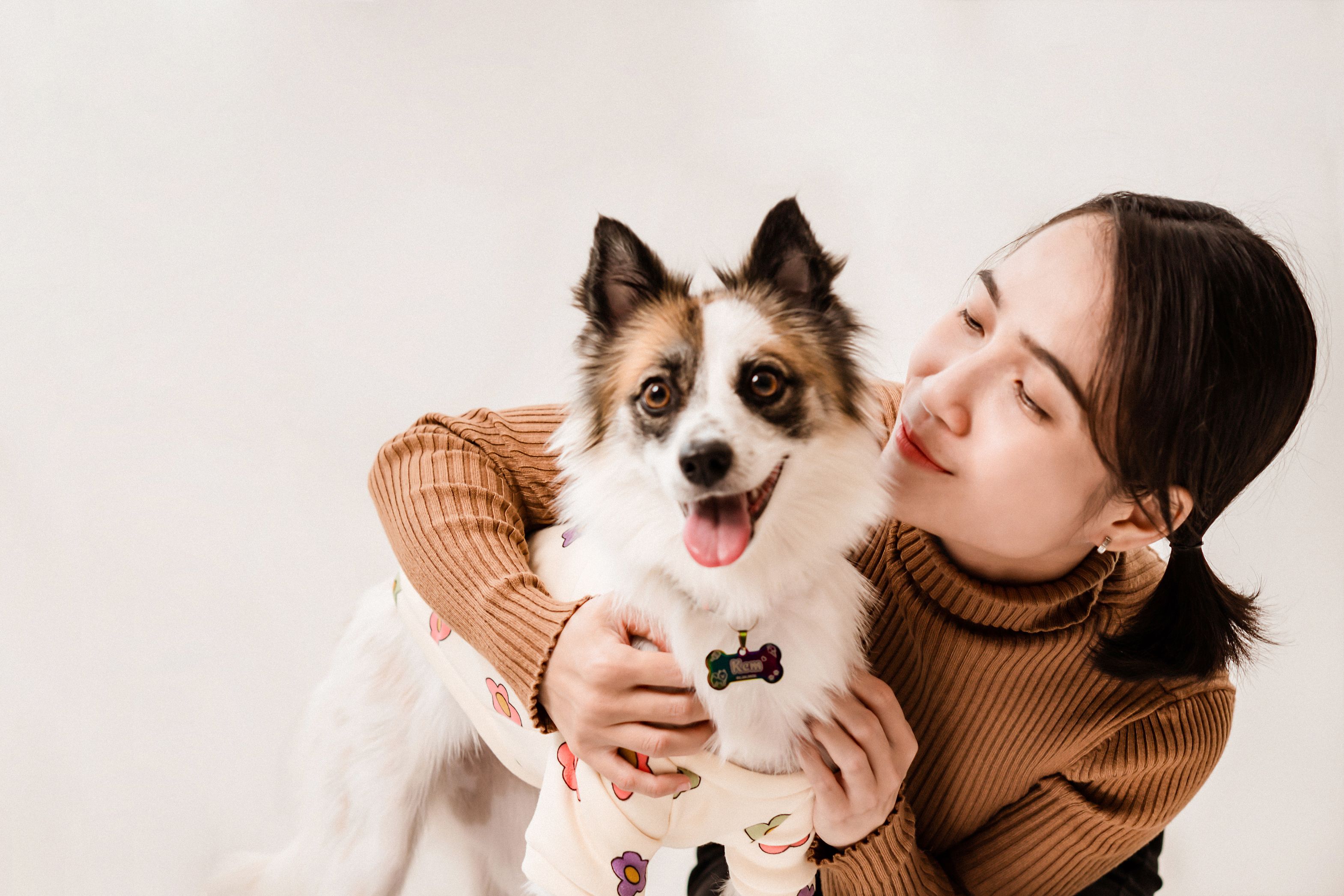 pet care, pet health, pet safety, pet grooming — Photo by Pet foto on Pexels