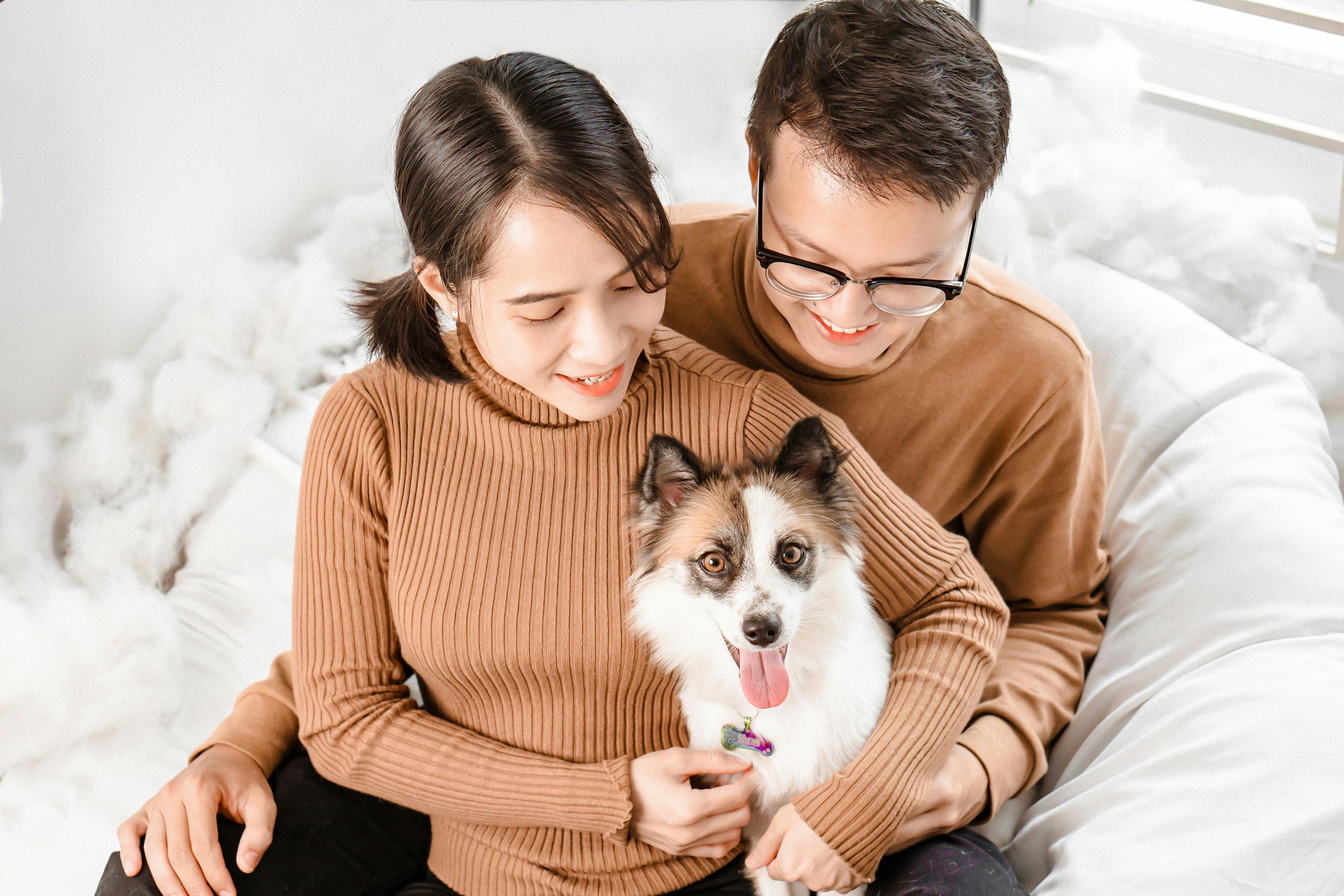 pet insurance, veterinary expenses, pet health costs, pet finance and insurance — Photo by Pet foto on Pexels