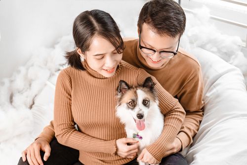 Free A happy couple smiling and embracing their dog indoors in a cozy setting. Stock Photo