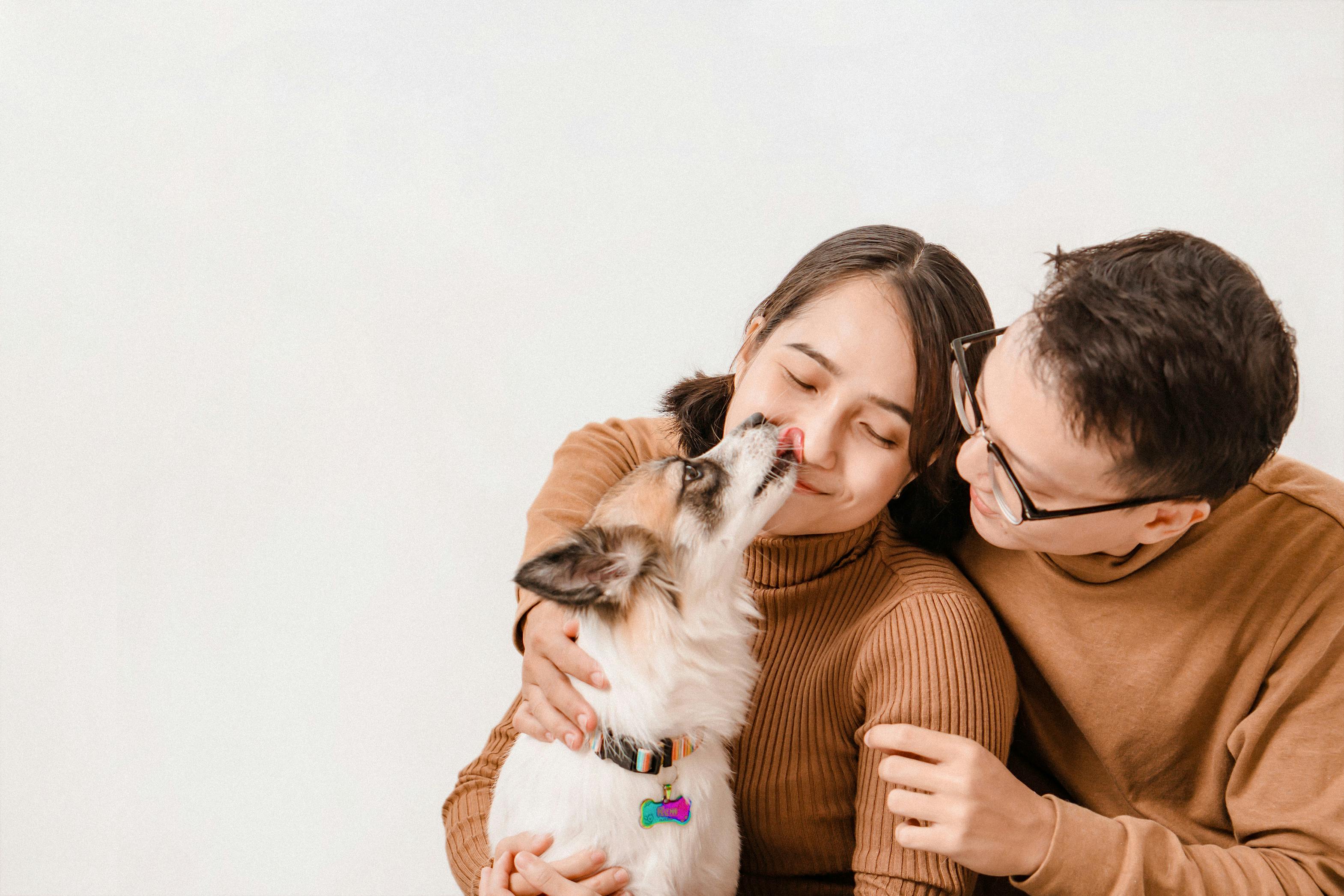 wellness preventive care — Photo by Pet foto on Pexels