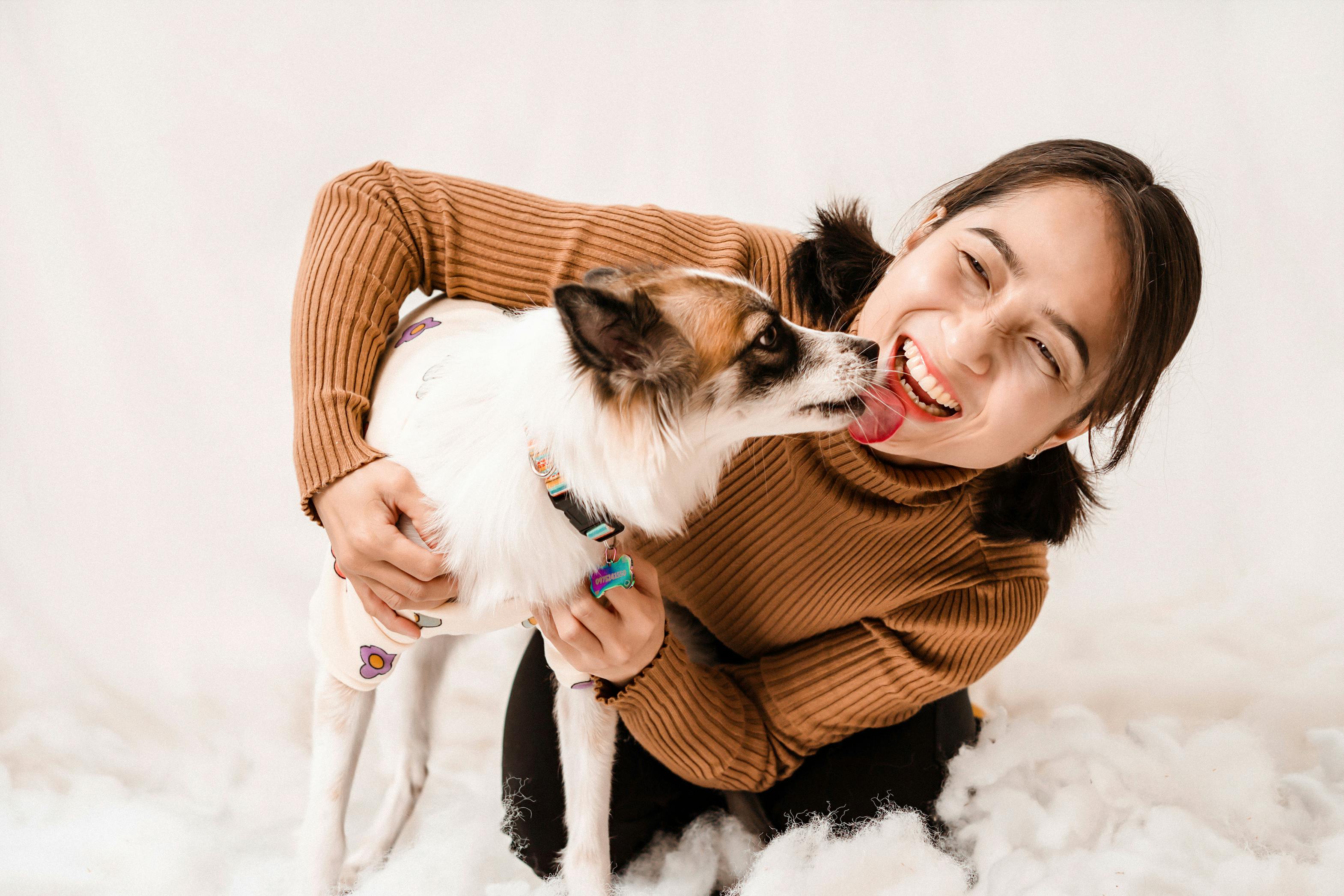 pet insurance veterinary expenses — Photo by Pet foto on Pexels