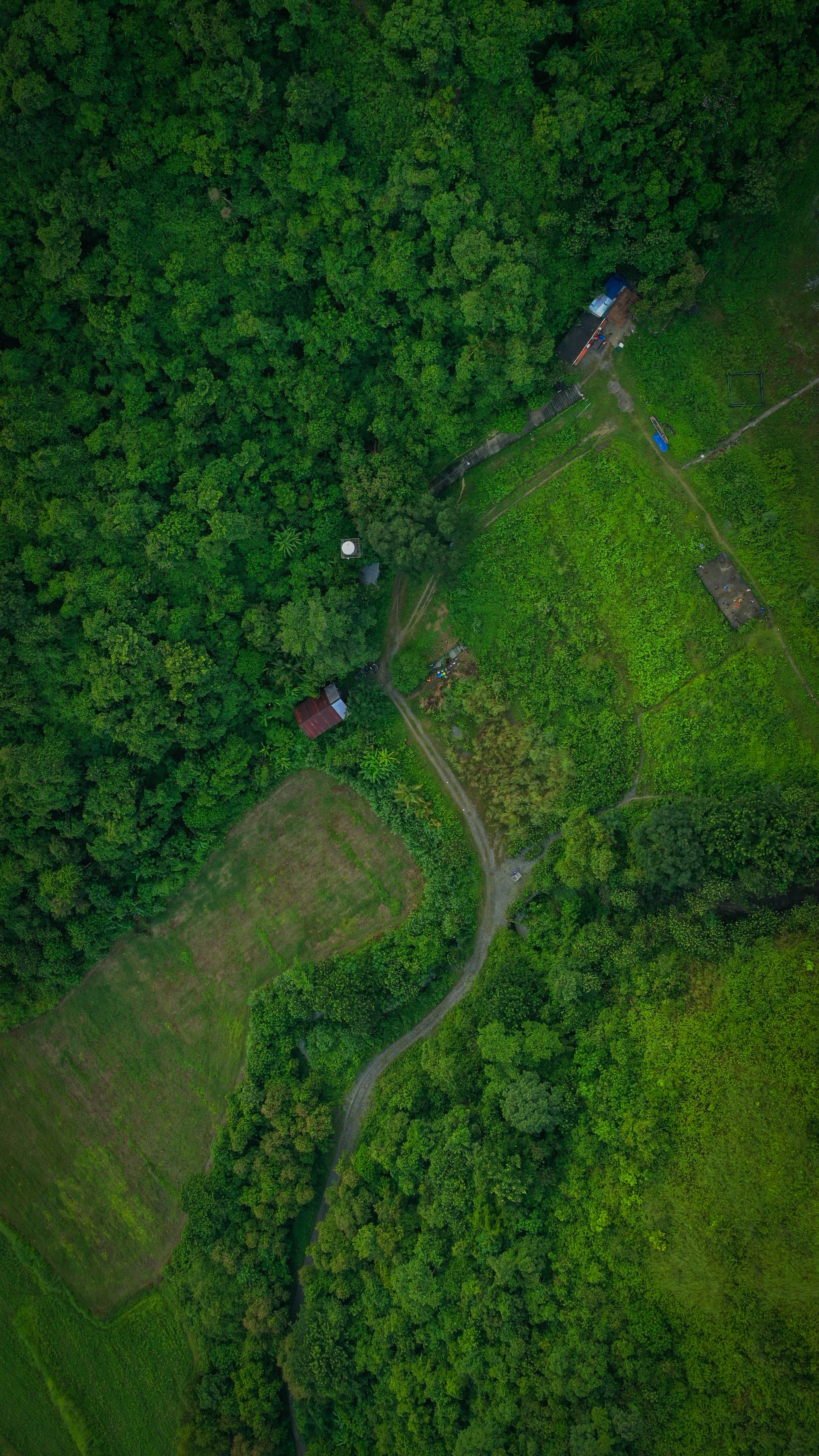 An aerial view of a green forest and a road · Free Stock Photo