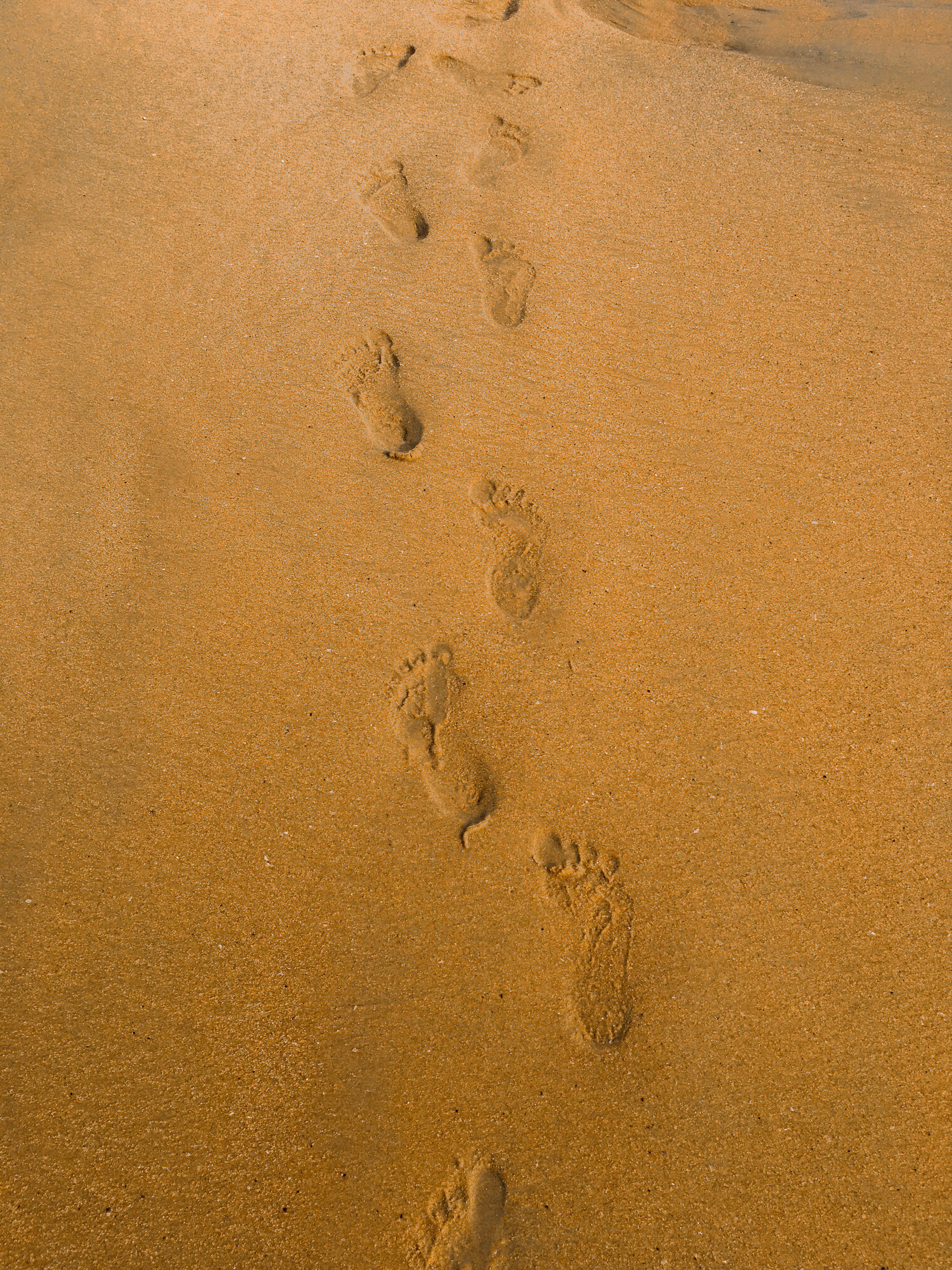 Tranquil view of sandy beach with human footprints leading away. Perfect for travel or relaxation themes.