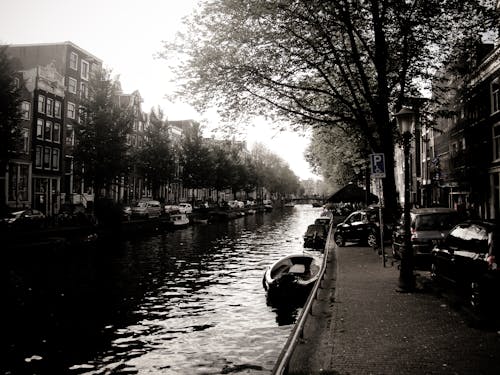 Free stock photo of amsterdam, classic, nature