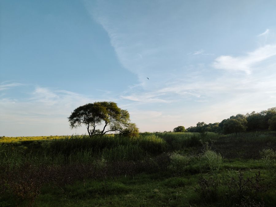 Kanha Meadow Vista photo 5