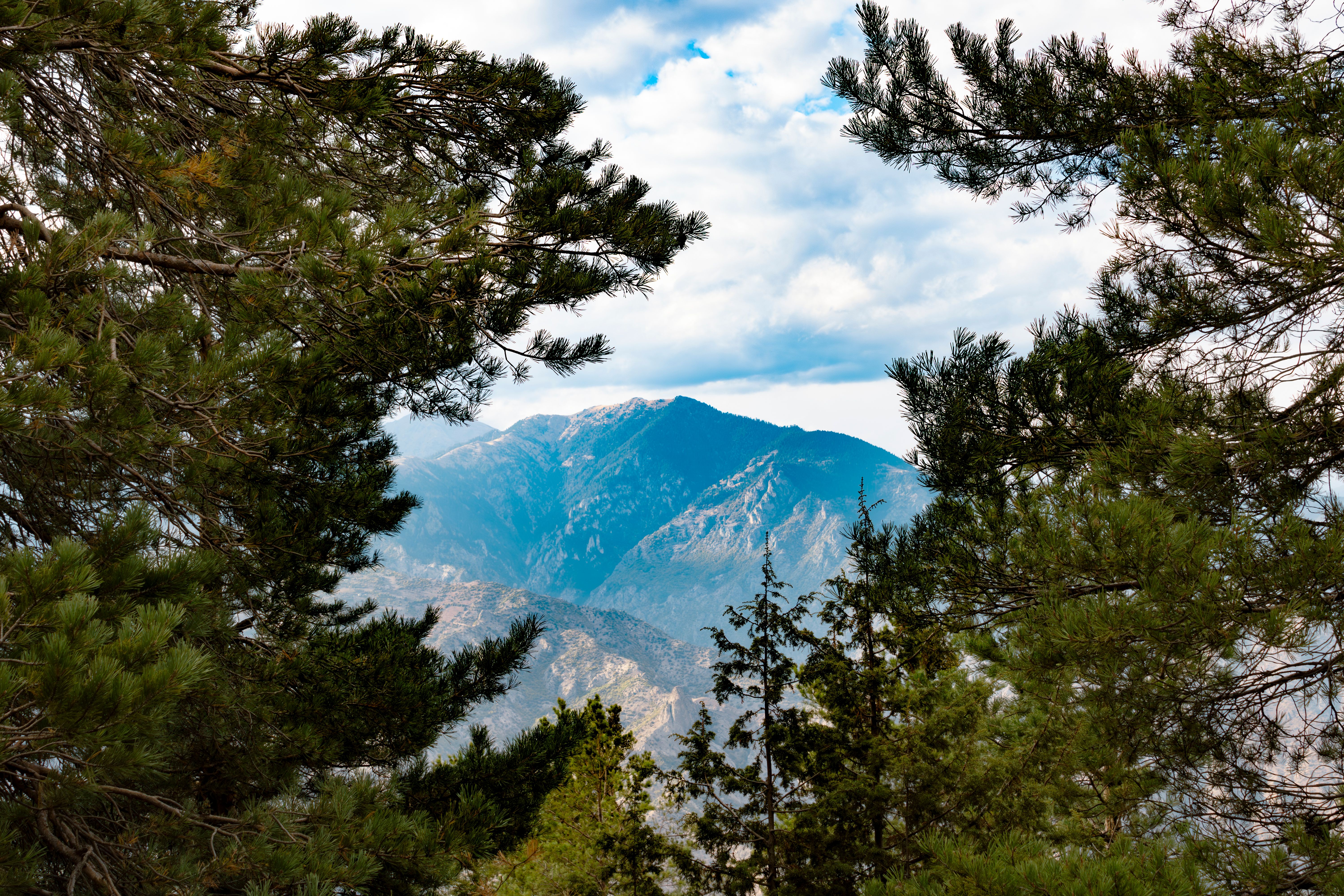 Drive up to Troodos square and Mount Olympus