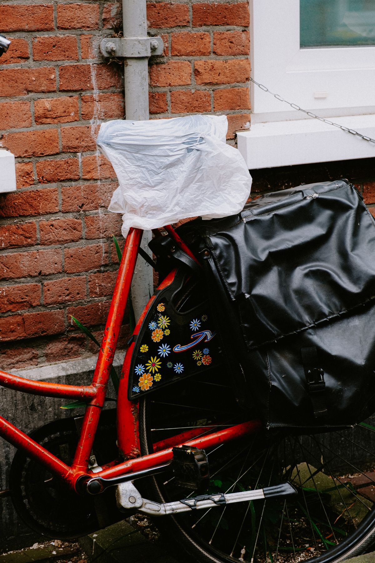 Bicycle equipped with carrying bags