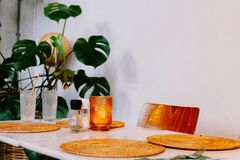 Stylish modern dining area with wooden chairs, plants, and elegant tableware.