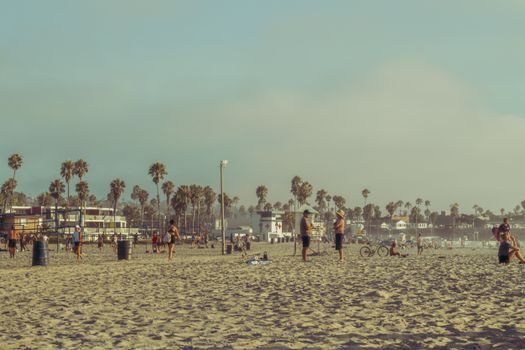 People enjoying a sunny day at the beach in San Diego, California with iconic palm trees and sandy shores.