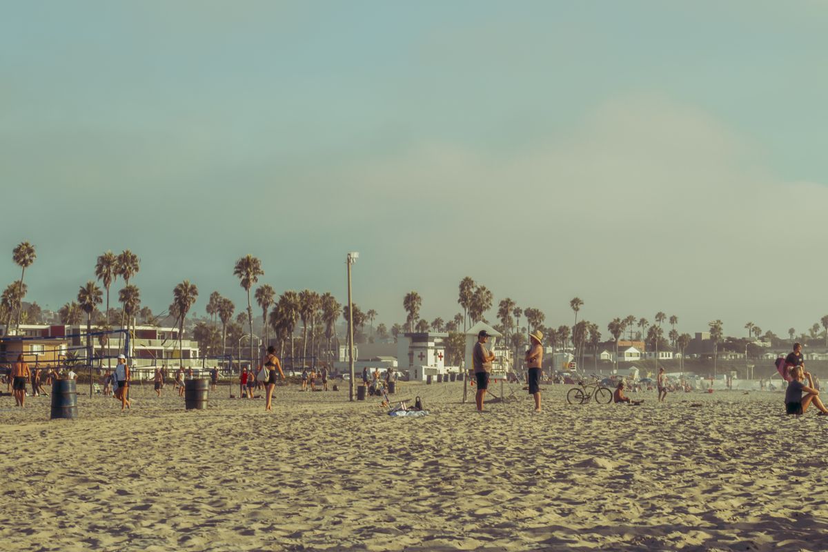 Palm trees and beachgoers along the San Diego coast