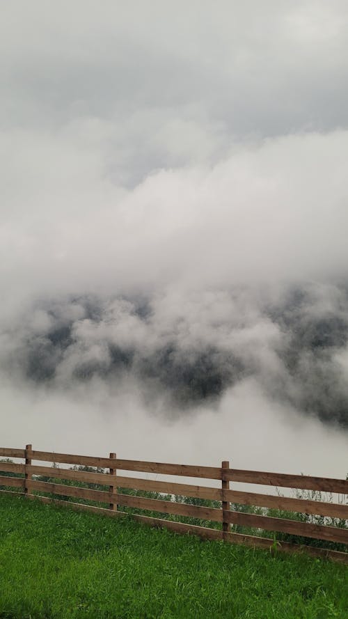 Foto stok gratis di atas awan, diatas awan!, hutan awan