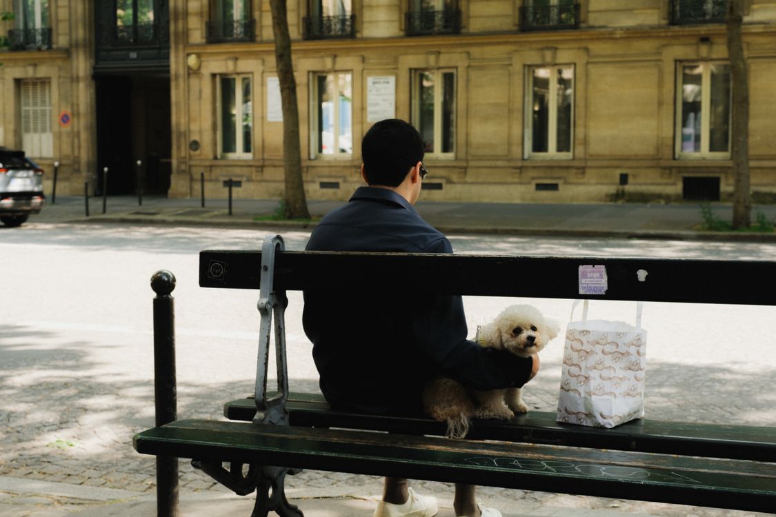 A man sitting on a bench with a dog · Free Stock Photo