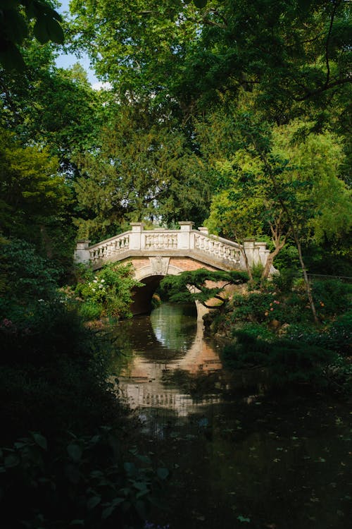 A bridge over a pond in the woods