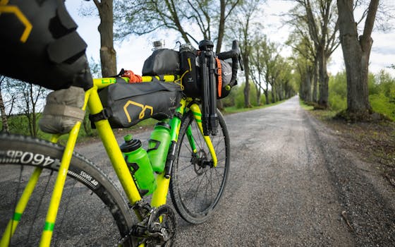 A vibrant yellow bikepacked bicycle on a tree-lined road, ready for an outdoor adventure.