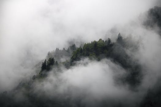 Dense mist engulfs a forested mountain landscape in Mayrhofen, Tirol, Austria.