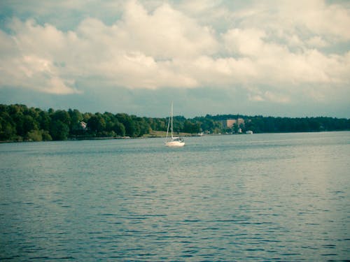 Free stock photo of nature, ocean, sweden