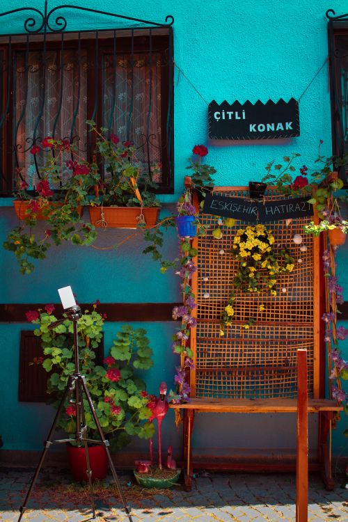 Free Vibrant street view in Eskişehir, Türkiye with a blue building adorned with potted plants and flowers. Stock Photo
