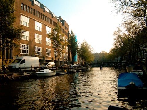 Free stock photo of amsterdam, nature