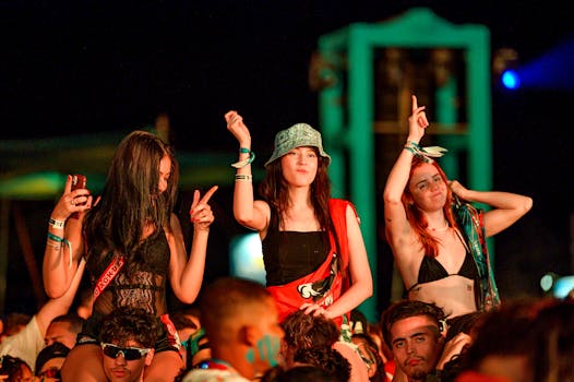 Energetic crowd enjoying live music at an outdoor festival with vibrant ambiance.