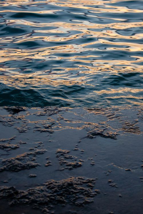 Free Gently rippling water at the shore during sunset in Geneva, creating a serene and natural scene. Stock Photo