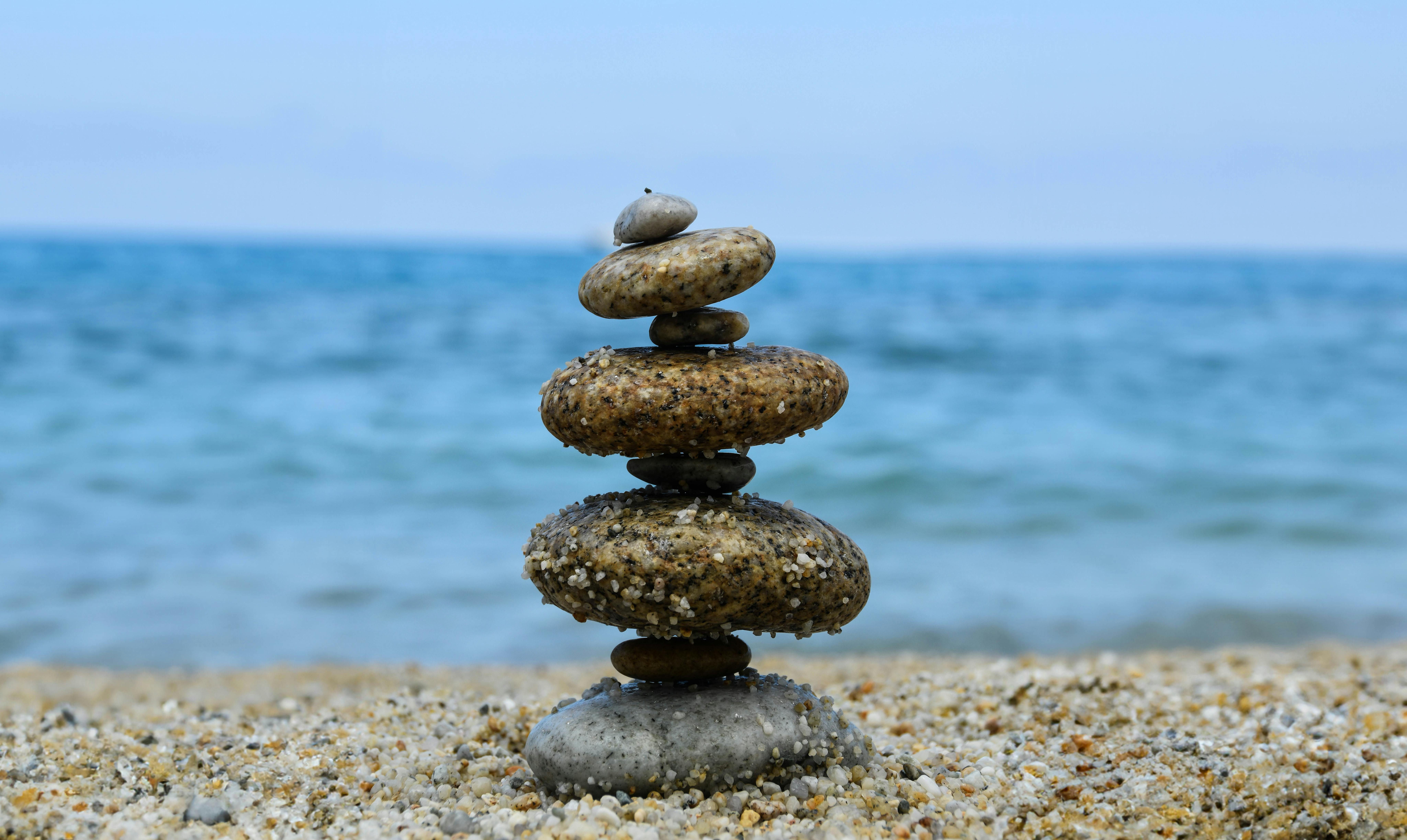 Predicting temporal stability and resilience from resistance and recovery — Photo by Elona Agug on Pexels