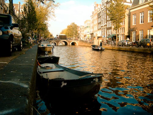 Gratis lagerfoto af Amsterdam, natur